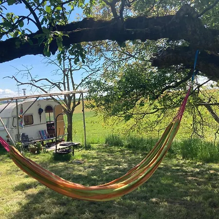 Tiny Paradise