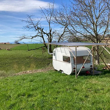 Kamp alanı Tiny Paradise
